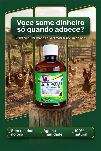 Publicação da Homeogados Aves no Instagram