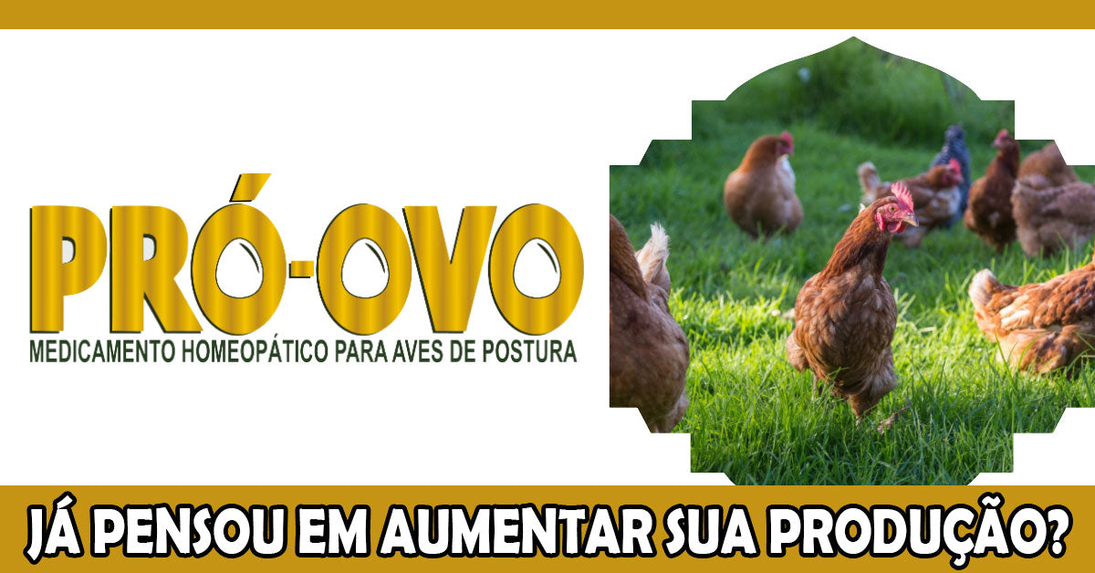 HOMEOGADOS AVES