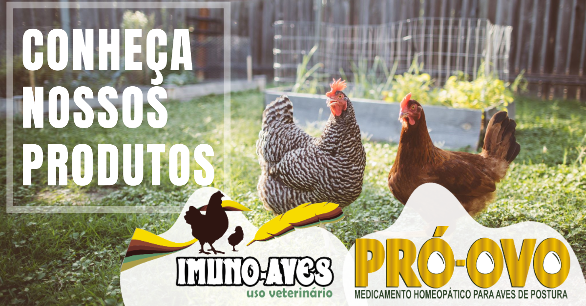 HOMEOGADOS AVES