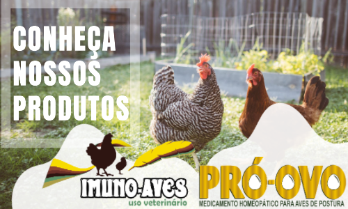 HOMEOGADOS AVES