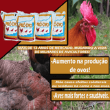 KIT 8 PCTS IMUNO-AVES 400 gramas, 8 PCTS PRÓ-OVO 500 gramas. - HOMEOGADOS AVES